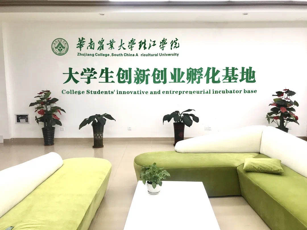 包含青少年篮球“双创”基地快速成长,推动创新创业发展的词条 包含青少年篮球“双创”基地快速成长,推动创新创业发展的词条