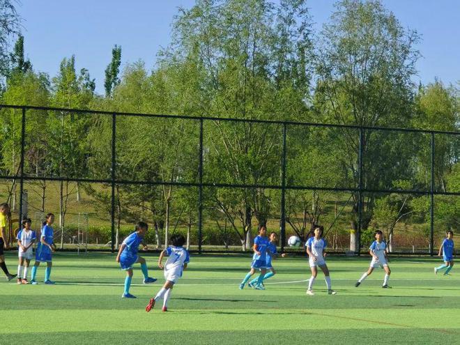 开云体育博彩-“足球+生态”产业融合，绿色能源助推绿茵梦想的简单介绍