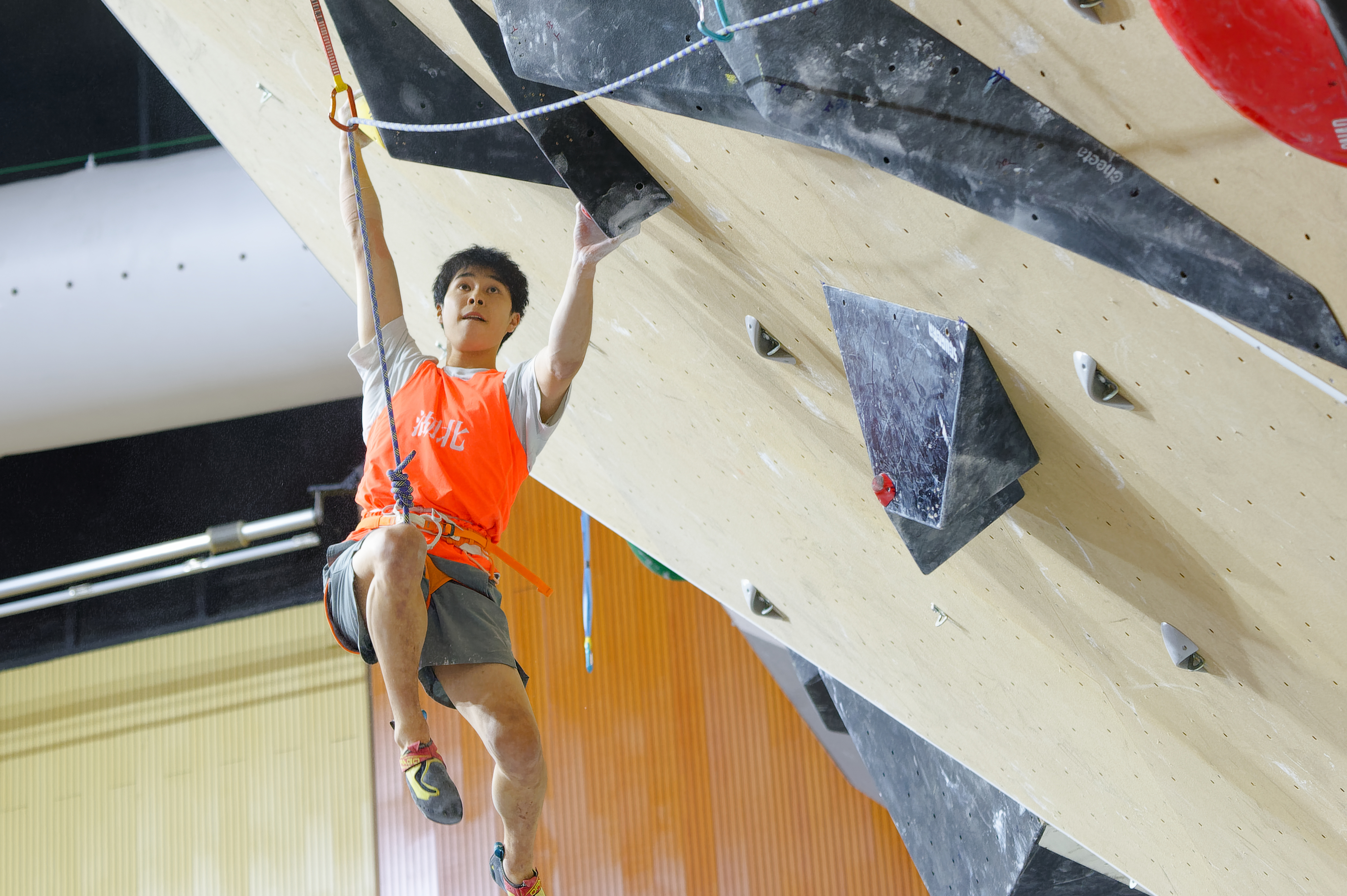 开云官网-攀岩世界赛：勇者无畏，再攀高峰