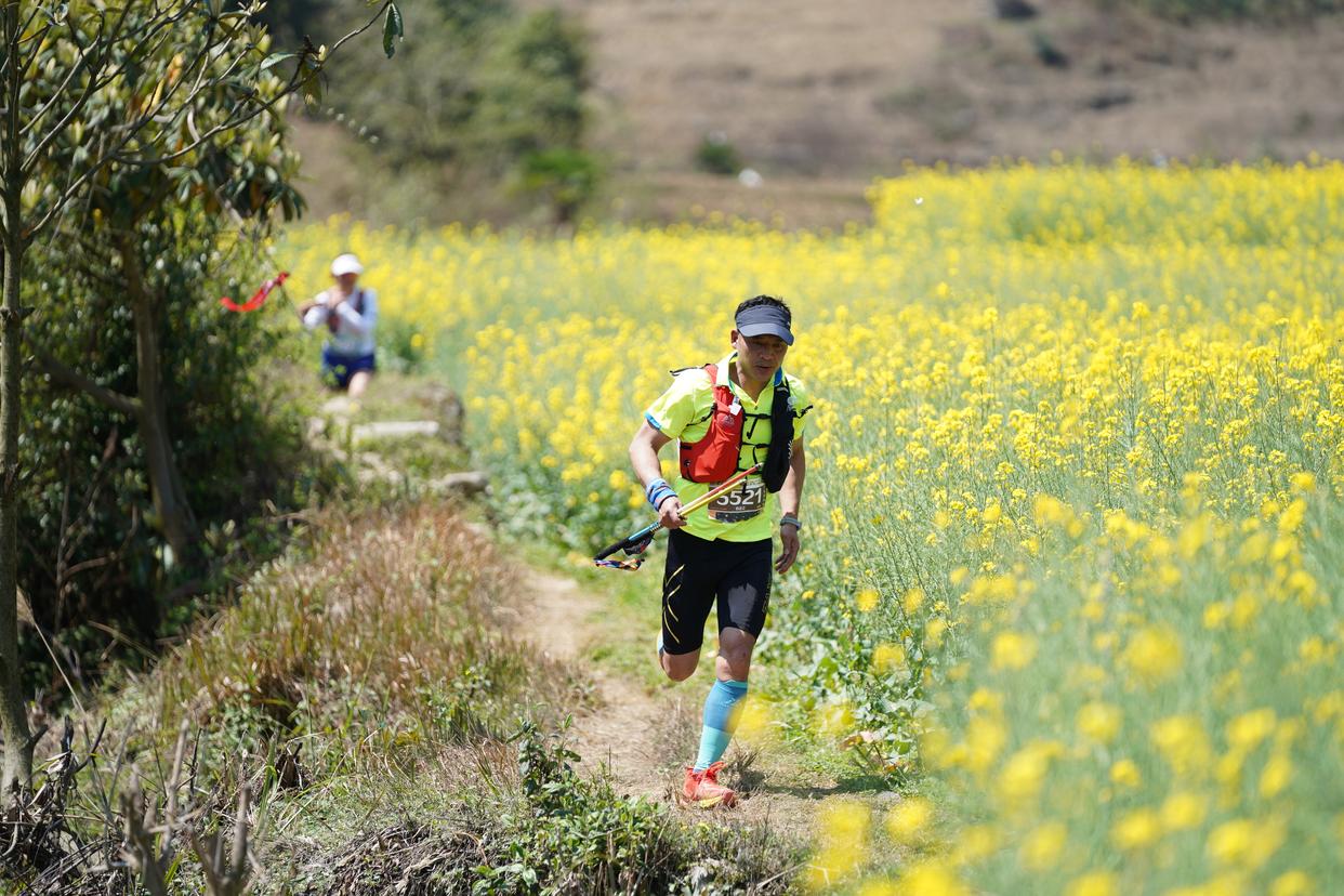 特色森林越野跑,拥抱自然的运动新体验的简单介绍 特色森林越野跑,拥抱自然的运动新体验的简单介绍