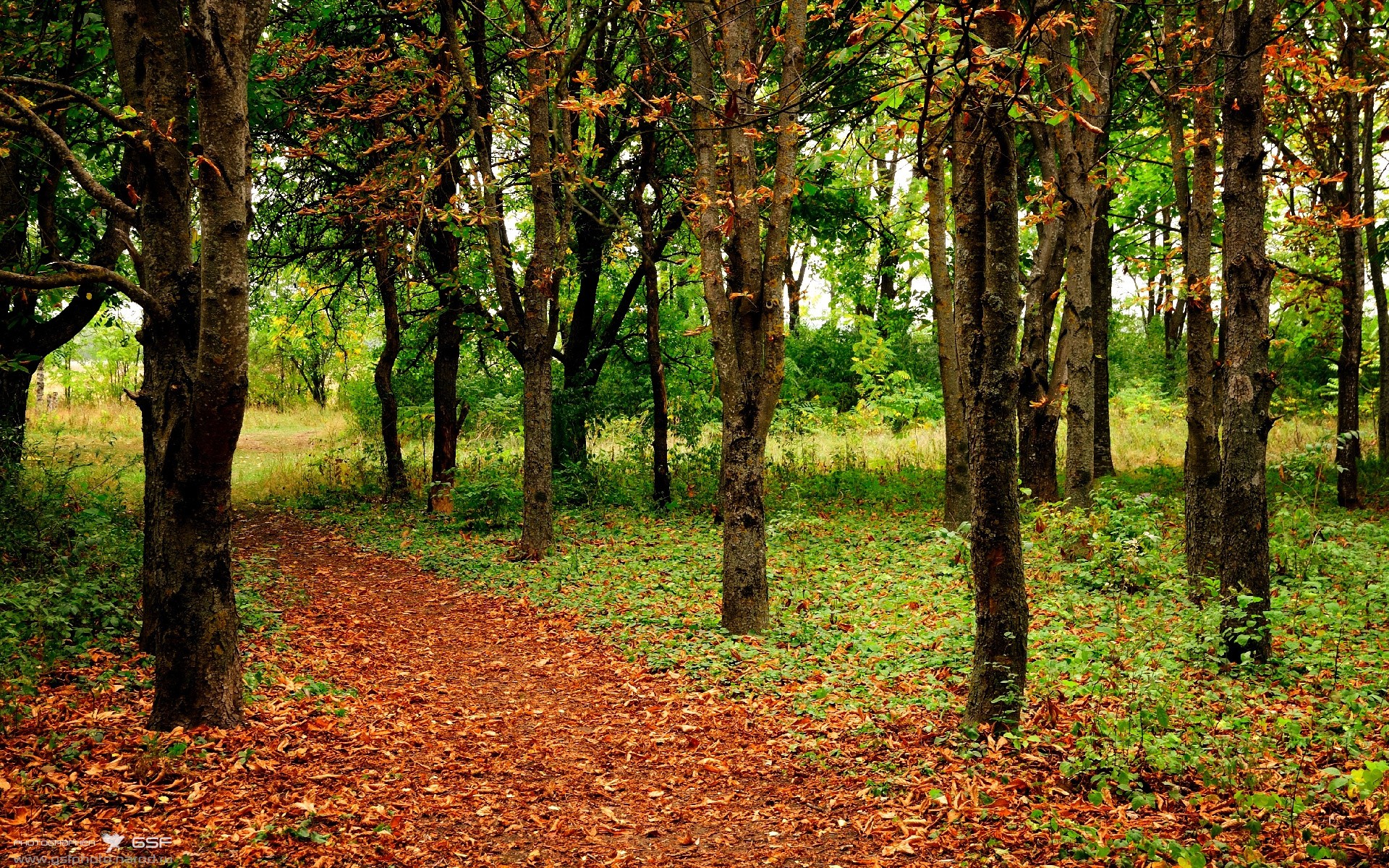 NBA赛季盖帽王数据统计,nba盖帽王榜历届
