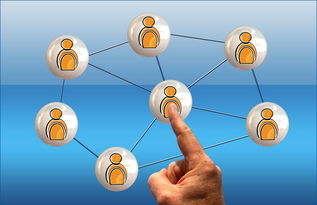 Kysports-英超球员社交媒体互动提升粉丝忠诚度研究，英超球队球迷