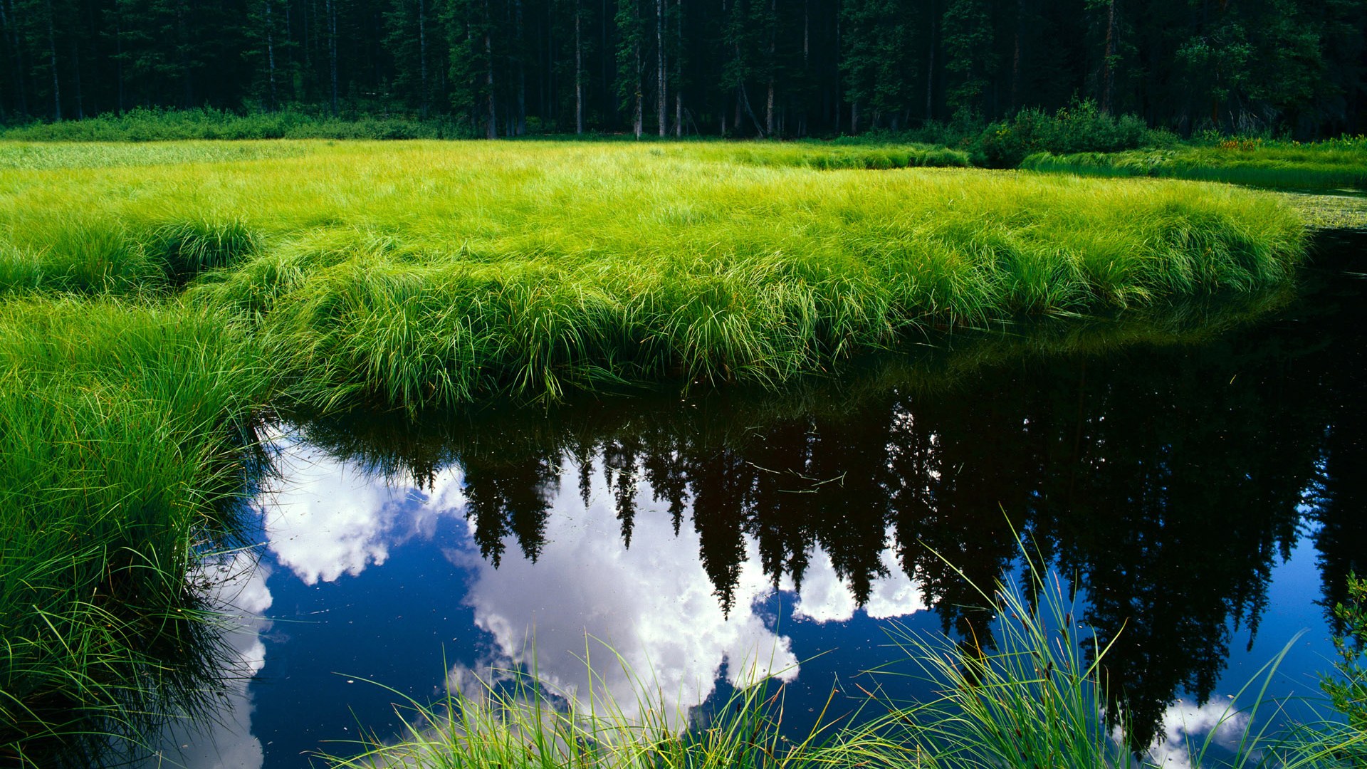 kaiyun-LPL海外粉丝群体不断扩大中文解说走向世界，英雄联盟国外解说视频