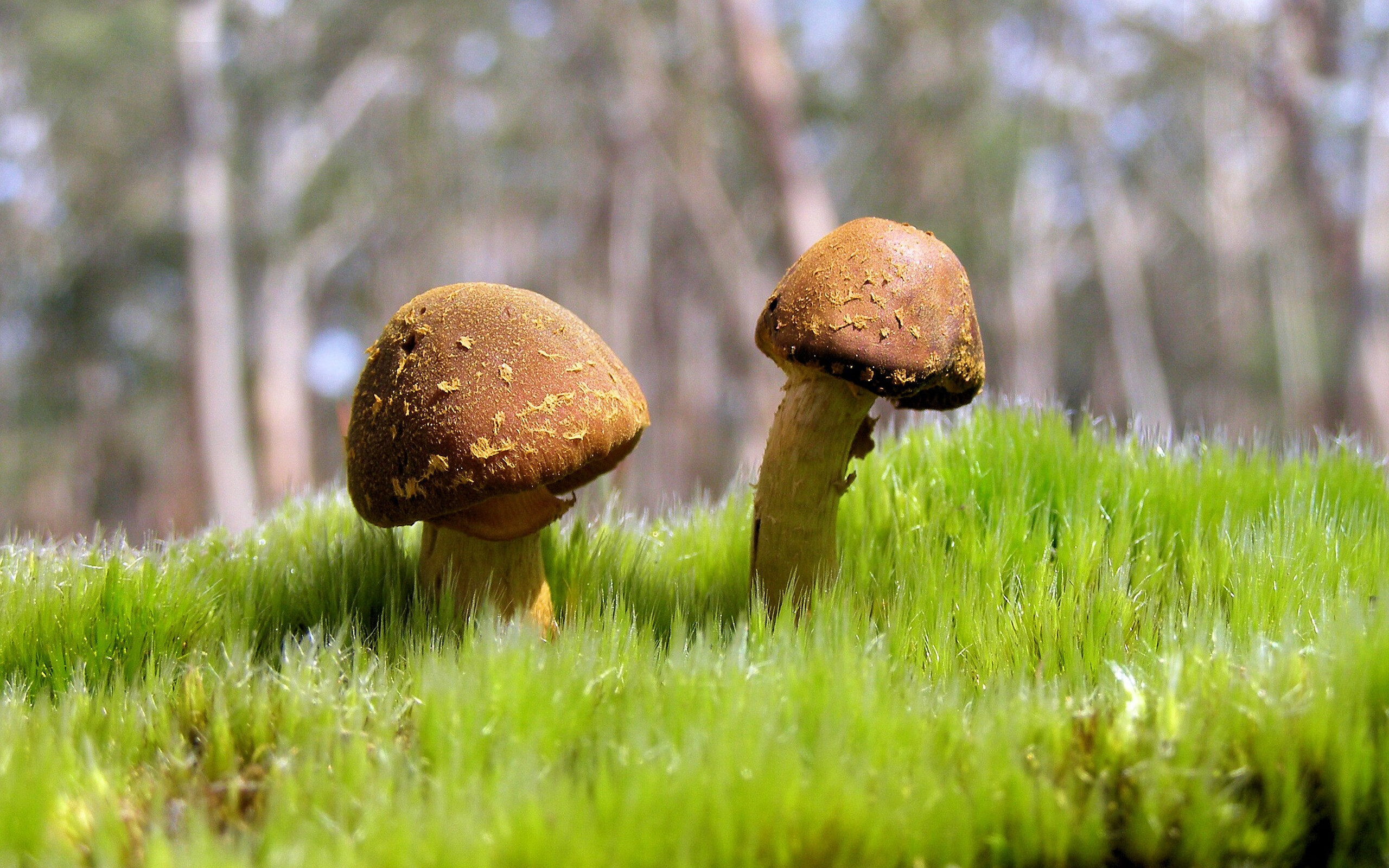 新疆男篮加大球员康复投入保障健康出战,新疆男篮官宣