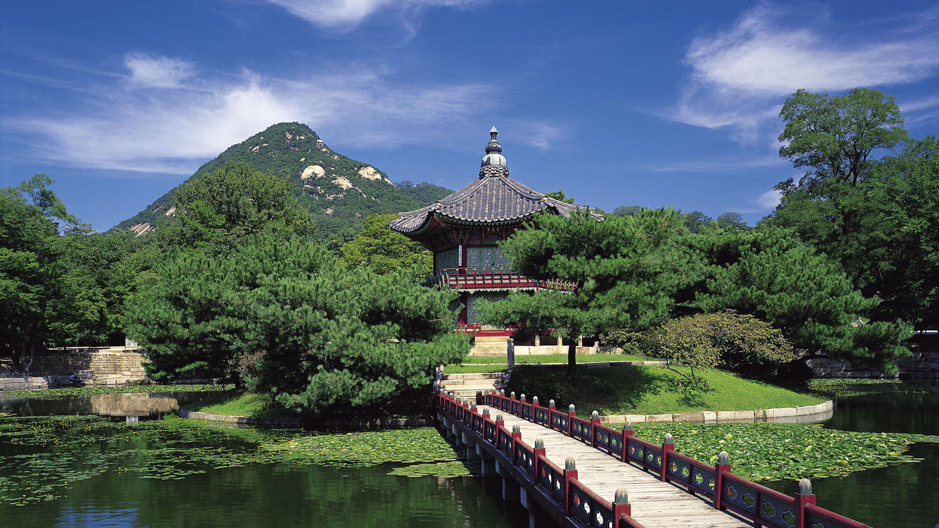 杨瀚森技术细节不断精进提升比赛效率，杨翰笙个人介绍