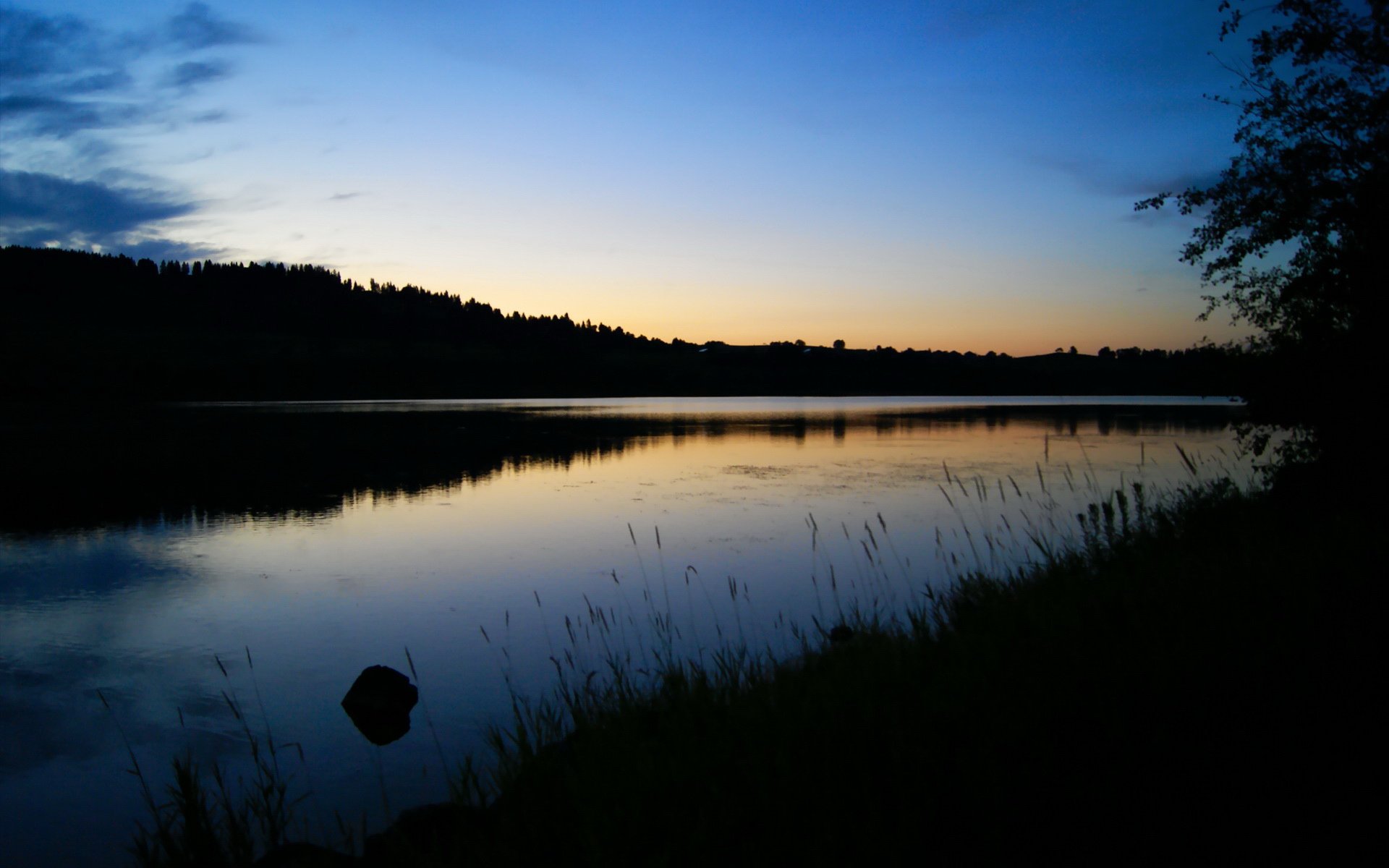 开云体育下载入口-美国队未来发展：通过全方位训练提高球员身体素质与技术水平，美国队怎么样