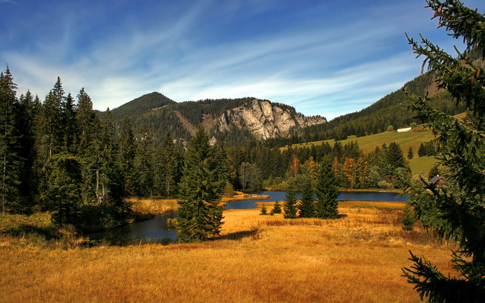 球迷应援活动频繁，营造火热氛围，球迷招募